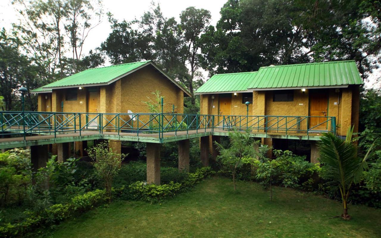 Mpt White Tiger Forest Lodge Tāla Zewnętrze zdjęcie