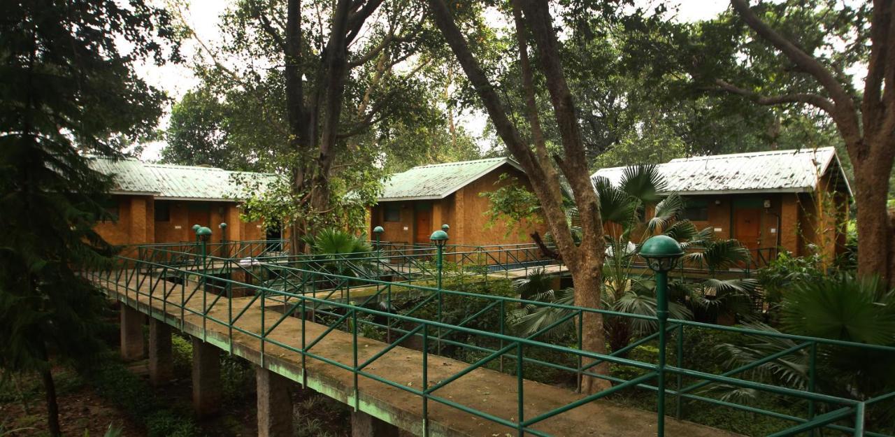 Mpt White Tiger Forest Lodge Tāla Zewnętrze zdjęcie