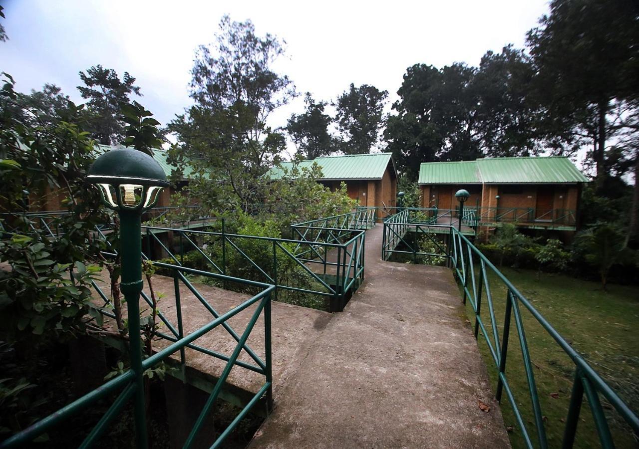 Mpt White Tiger Forest Lodge Tāla Zewnętrze zdjęcie